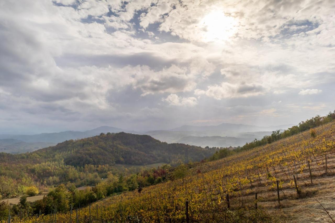 Oasi Di Mastarone - Il Vino E Le Rose Villa Momperone Luaran gambar