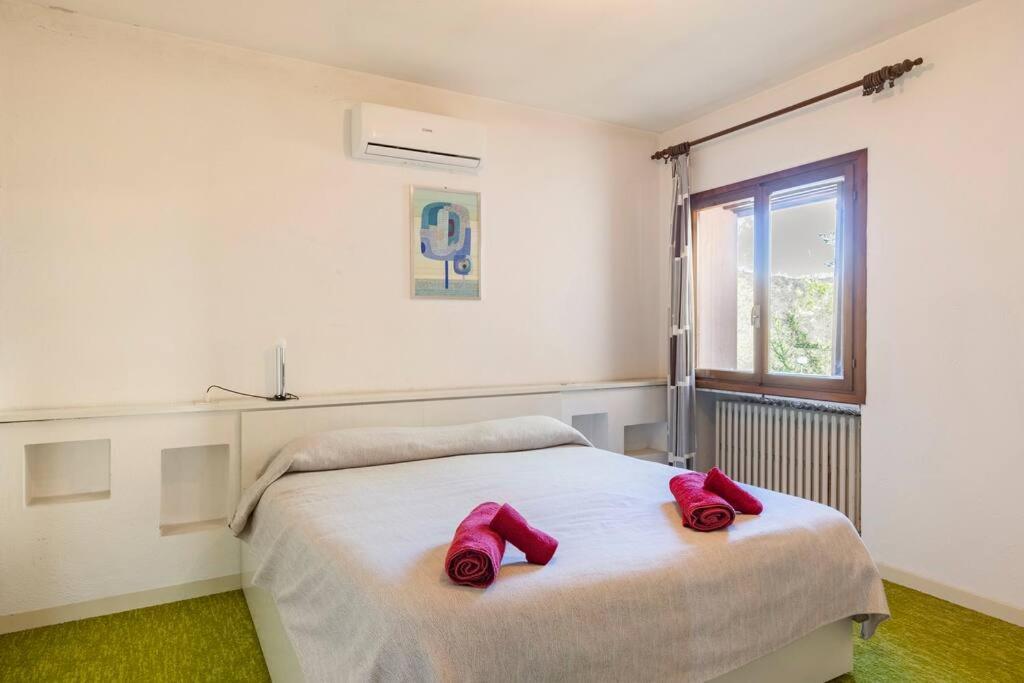 Oasi Di Mastarone - Il Vino E Le Rose Villa Momperone Luaran gambar