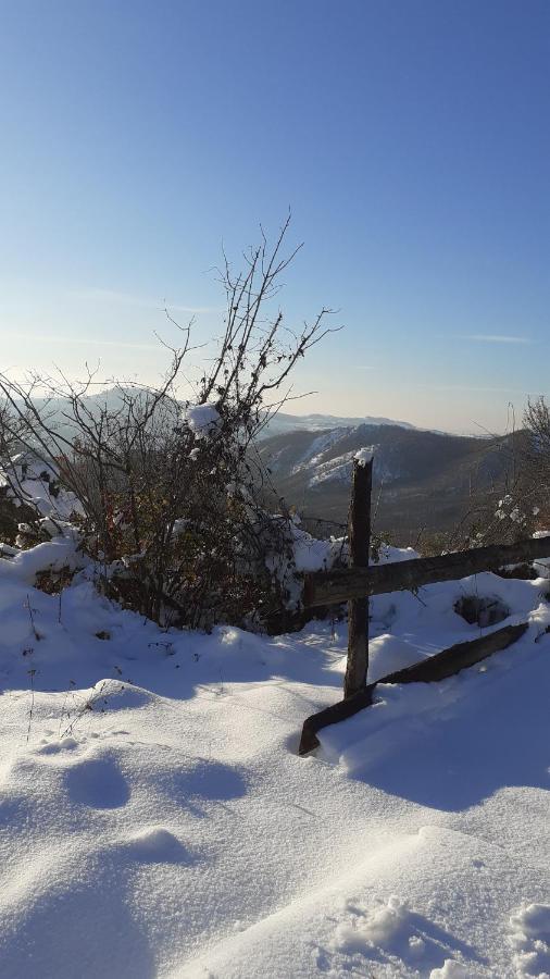Oasi Di Mastarone - Il Vino E Le Rose Villa Momperone Luaran gambar