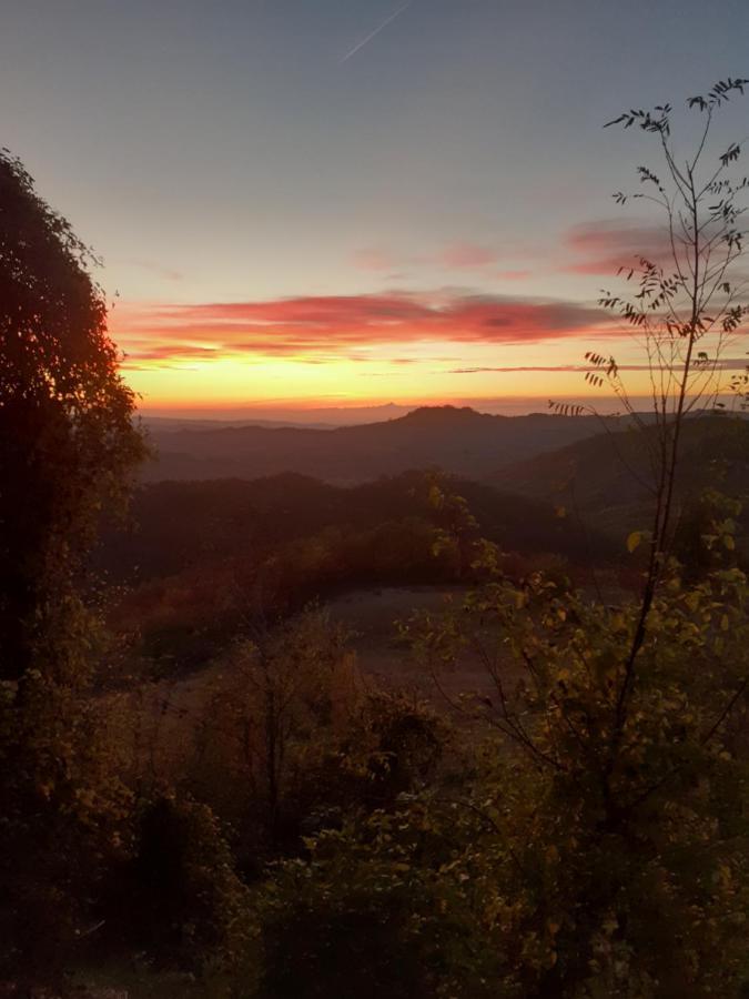 Oasi Di Mastarone - Il Vino E Le Rose Villa Momperone Luaran gambar