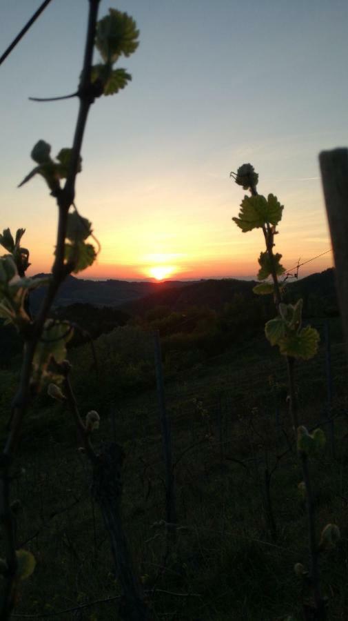 Oasi Di Mastarone - Il Vino E Le Rose Villa Momperone Luaran gambar